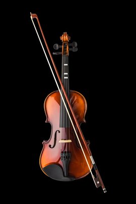 Violino