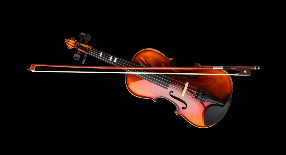 Violino